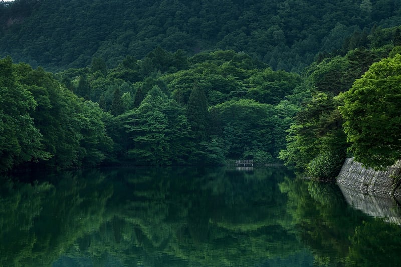 Magical Mountains